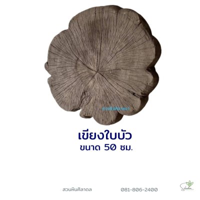 เขียงใบบัว