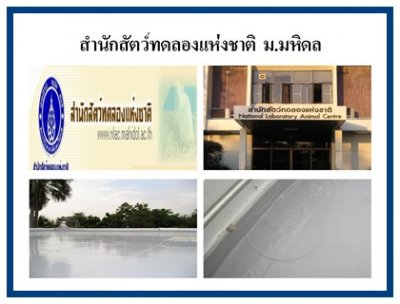 EVALON Waterproofing and XPS Foam Insulation Thai