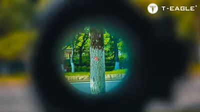 T-EAGLE R5 Red Dot Sight จุด
