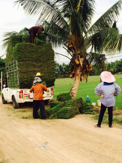 รูป