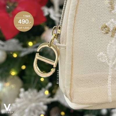 Dior Butterflies and Dragonflies Pouch Limited Edition