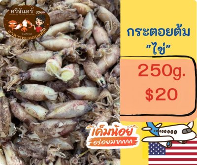 กระตอยไข่ต้ม