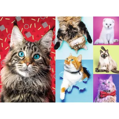 TREFL 1000 Piece Jigsaw Puzzle - Happy cats จิ๊กซอว์ 1000 ชิ้น