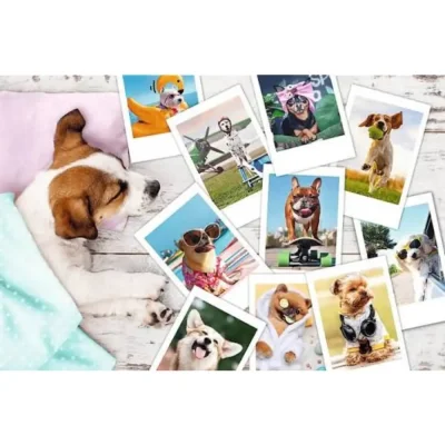 TREFL 300 Piece Jigsaw Puzzle - Holiday pictures จิ๊กซอว์เด็ก 8 ปี+