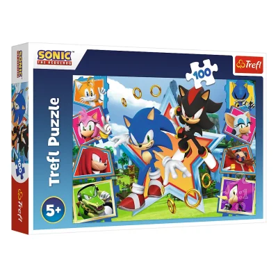 TREFL 100 Piece Jigsaw Puzzle - Meet Sonic จิ๊กซอว์เด็ก 5 ปี+