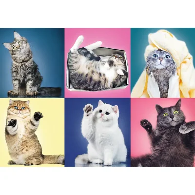 TREFL 500 Piece Jigsaw Puzzle - Kittens จิ๊กซอว์ 500 ชิ้น