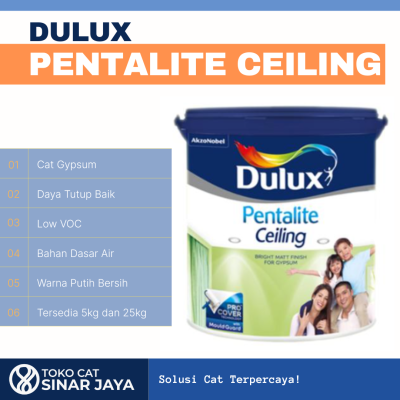 Dulux Pentalite Ceiling White
