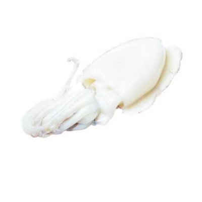 หมึกหอม ไม่ลอกหนัง ทั้งตัว ขนาด 400-500G./PC
