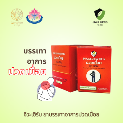 สมุนไพรอาการปวดเมื่อย ตราจิวะเฮิร์บ