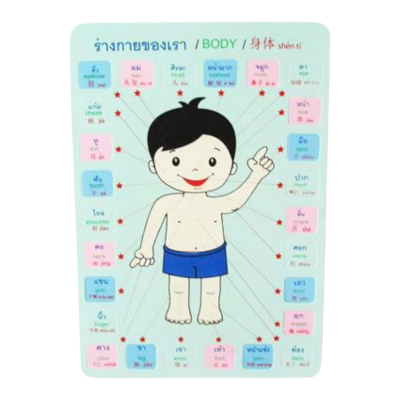 จับคู่ร่างกาย (3 ภาษา)