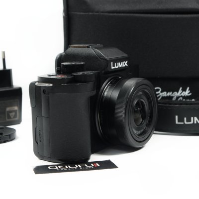 Lumix G100D