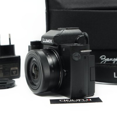 Lumix G100D