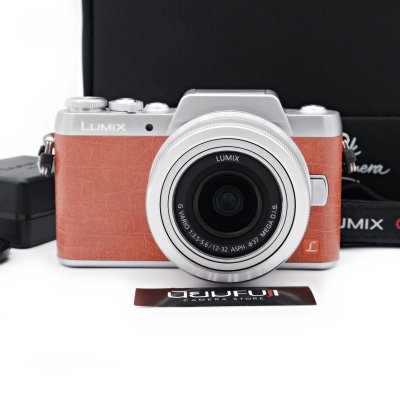 Lumix GF8