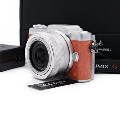 Lumix GF8