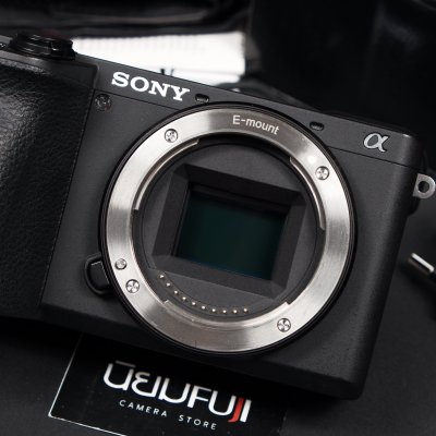Sony A6600