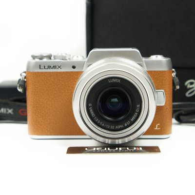 Lumix GF8