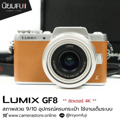 Lumix GF8