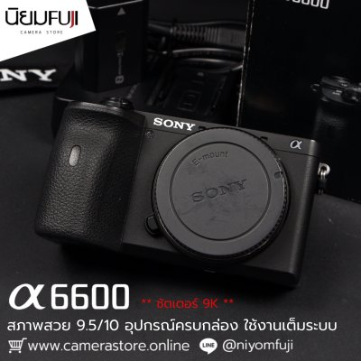 Sony A6600