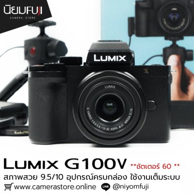 Lumix G100V