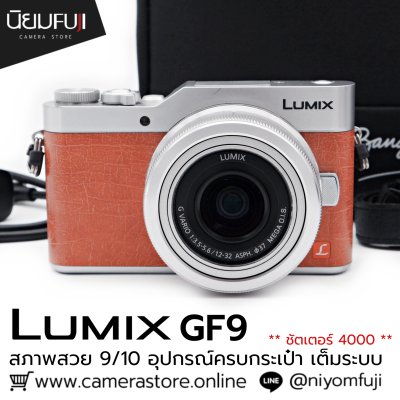 Lumix GF9