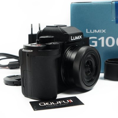 Lumix G100D