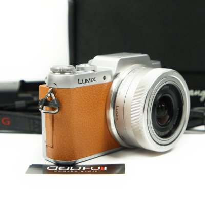Lumix GF8