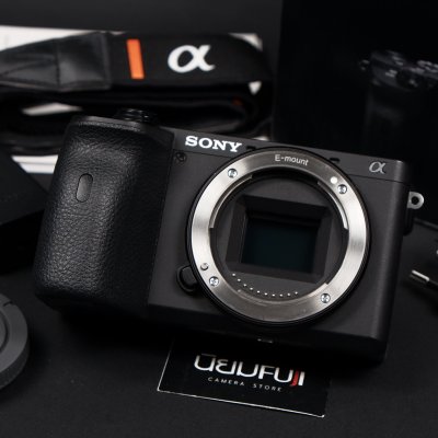 Sony A6600
