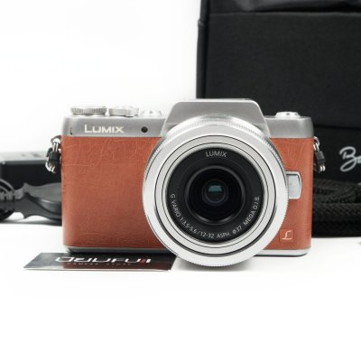 Lumix GF8