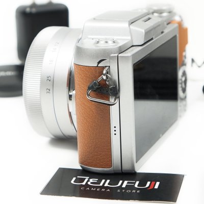 Lumix GF8