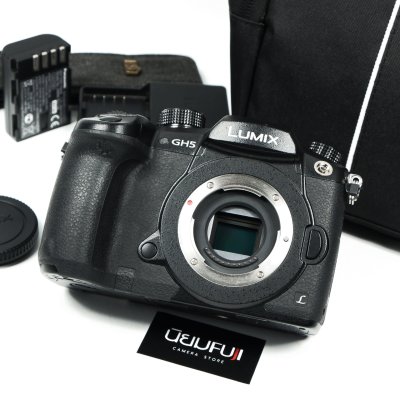 Lumix GH5