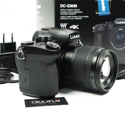 Lumix G90