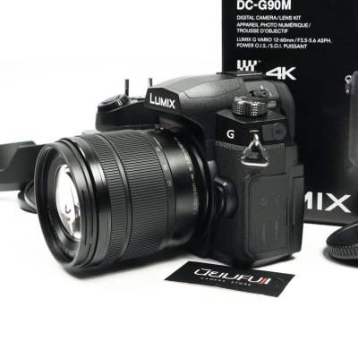 Lumix G90