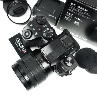 Lumix G90