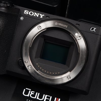 Sony A6600
