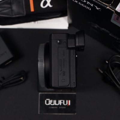 Sony A6600