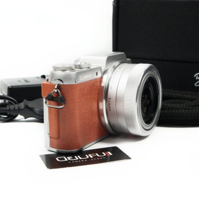 Lumix GF8