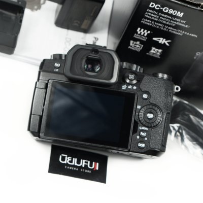 Lumix G90