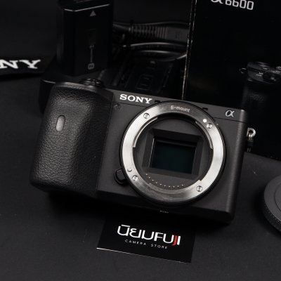 Sony A6600