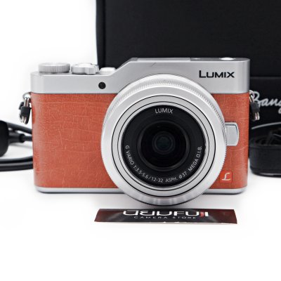 Lumix GF9