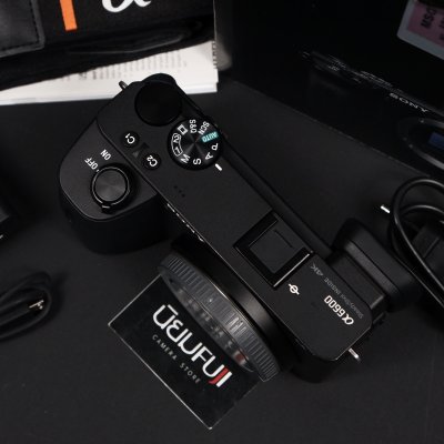 Sony A6600