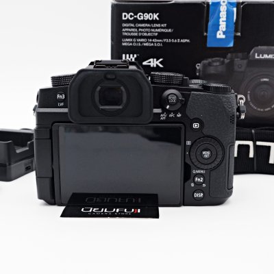 Lumix G90