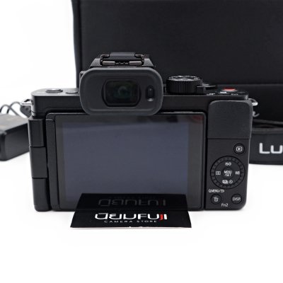 Lumix G100