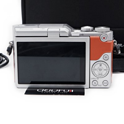 Lumix GF9