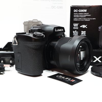 Lumix G90