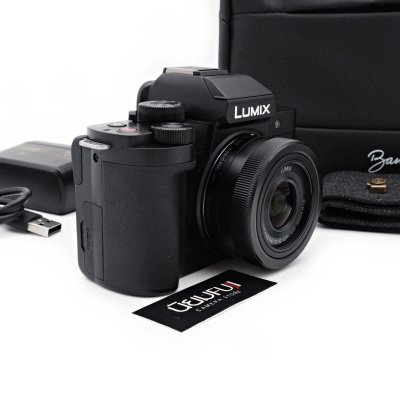Lumix G100D
