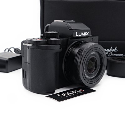Lumix G100