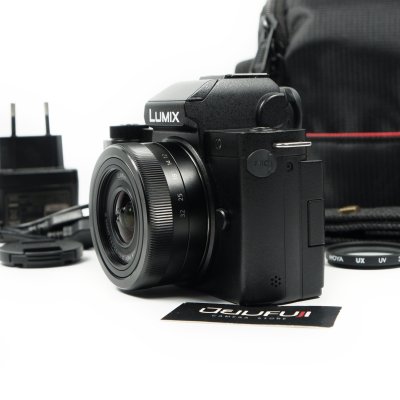 Lumix G100
