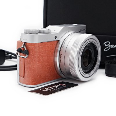 Lumix GF9