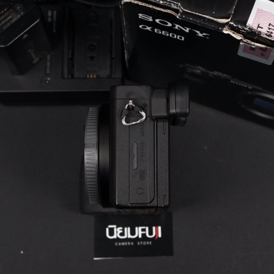 Sony A6600