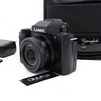 Lumix G100D